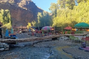 From Marrakech: Ourika Valley and Atlas Mountains Day Tour