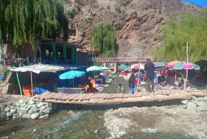 From Marrakech: Ourika Valley and Atlas Mountains Day Tour