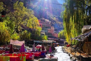 From Marrakech: Ourika Valley & Atlas Mountains Day Trip