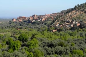 Från Marrakech: Ourikadalen & Atlasbergens vattenfall