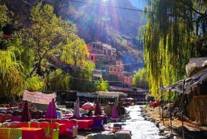 From Marrakech: Ourika Valley Day Tour, Atlas Mountains Road