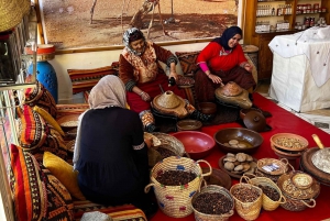 Au départ de Marrakech : Excursion dans la vallée de l'Ourika avec déjeuner