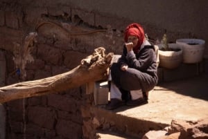 Au départ de Marrakech : Excursion dans la vallée de l'Ourika avec déjeuner