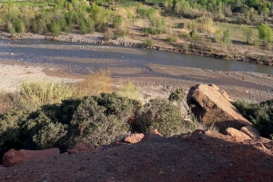 Au départ de Marrakech : Excursion dans la vallée de l'Ourika avec déjeuner