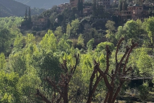 Au départ de Marrakech : Excursion dans la vallée de l'Ourika avec déjeuner