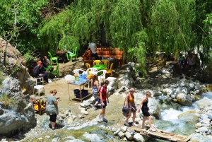 From Marrakech: Ourika Valley Day Trip