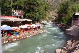 From Marrakech: Ourika Valley Day Trip