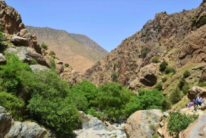 From Marrakech: Ourika Valley Day Trip