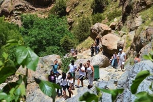 Von Marrakech aus: Ourika-Tal und Atlasgebirge Tagestour