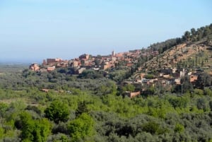 Von Marrakech aus: Ourika-Tal und Atlasgebirge Tagestour
