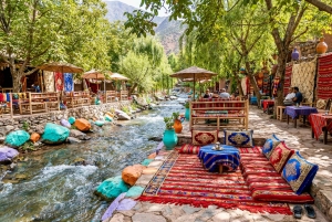 マラケシュ発：ウリカ渓谷の自然ツアー＆滝（ランチ付き）