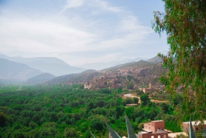 マラケシュ発：ウリカ渓谷の自然ツアー＆滝（ランチ付き）