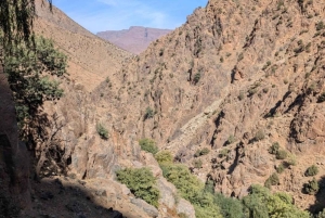 マラケシュ発：ウリカ渓谷の自然ツアー＆滝（ランチ付き）