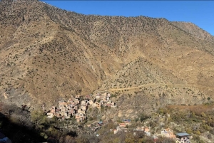 マラケシュ発：ウリカ渓谷の自然ツアー＆滝（ランチ付き）