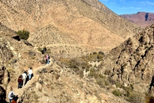 マラケシュ発：ウリカ渓谷の自然ツアー＆滝（ランチ付き）