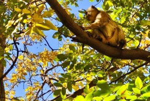 マラケシュ発：ウリカ渓谷の自然ツアー＆滝（ランチ付き）