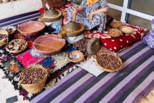 マラケシュ発：ウリカ渓谷の自然ツアー＆滝（ランチ付き）