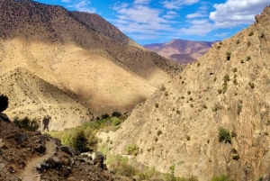 マラケシュ発：ウリカ渓谷の自然ツアー＆滝（ランチ付き）