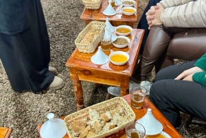 マラケシュ発：ウリカ渓谷の自然ツアー＆滝（ランチ付き）