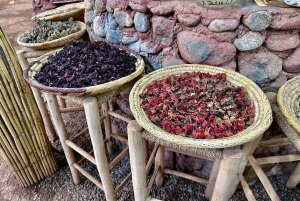 マラケシュ発：ウリカ渓谷の自然ツアー＆滝（ランチ付き）