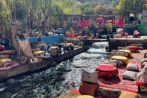 Marrakech: Atlas Mountains, Ourika Valley, Waterfall & Lunch
