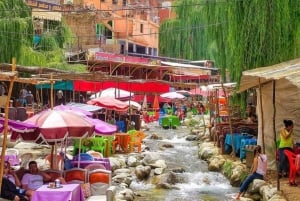 From Marrakech: Ourika Valley Tour with Lunch & Camel Ride