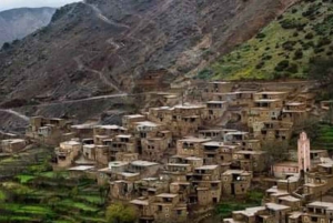 Desde Marrakech: Excursión al Valle de Ourika con almuerzo y paseo en camello