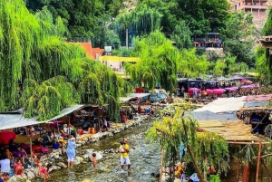Desde Marrakech: Excursión al Valle de Ourika con almuerzo y paseo en camello