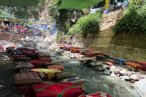 Marrakech : cascades d'Ourika, montagnes de l'Atlas, guide + déjeuner