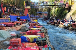 Marrakech : cascades d'Ourika, montagnes de l'Atlas, guide + déjeuner