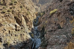 Marrakech : cascades d'Ourika, montagnes de l'Atlas, guide + déjeuner