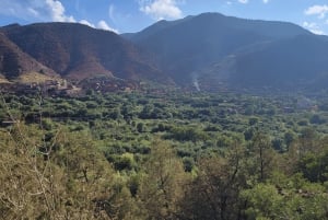 Marrakech : cascades d'Ourika, montagnes de l'Atlas, guide + déjeuner