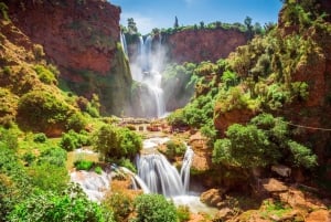 From Marrakech: Ouzoud Falls Day Trip with Guided Boat Ride.