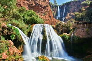 From Marrakech: Ouzoud Falls Day Trip with Guided Boat Ride.