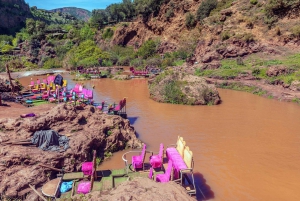 Från Marrakech: Heldagstur till Ouzoud Falls med båttur