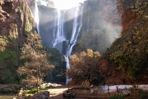 From Marrakech: Full-Day Tour to Ouzoud Falls with Boat Trip