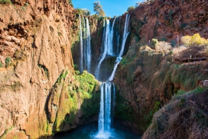 From Marrakech: Full-Day Tour to Ouzoud Falls with Boat Trip