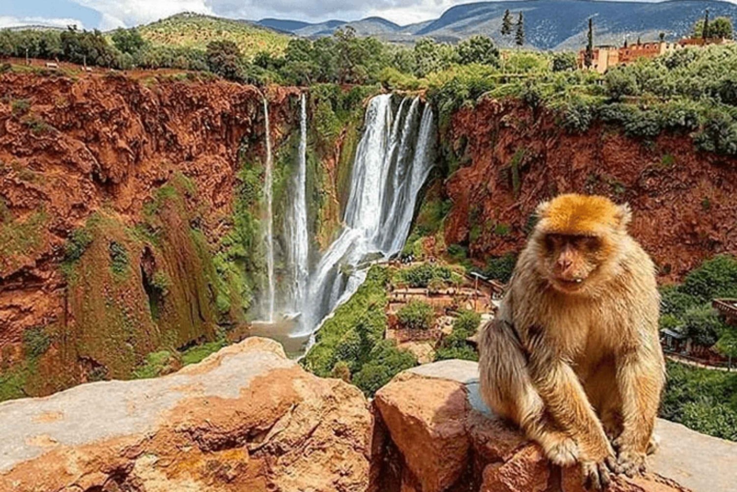 From Marrakech: Ouzoud Waterfall Local guide & Boat Ride