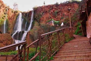 Marrakesz: Wodospady Ouzoud - 1-dniowa wycieczka z przewodnikiem z rejsem łodzią