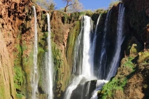 From Marrakech: Ouzoud Waterfalls Day Trip and Boat Tour