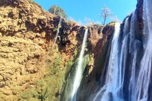 From Marrakech: Ouzoud Waterfalls Day Trip and Boat Tour