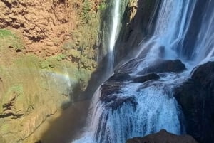 From Marrakech: Ouzoud Waterfalls Day Trip and Boat Tour