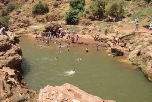 From Marrakech: Ouzoud Waterfalls Day Trip and Boat Tour