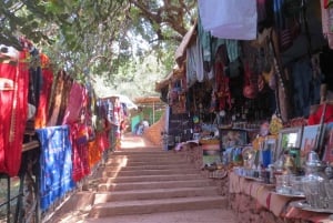 From Marrakech: Ouzoud Waterfalls Day Trip and Boat Tour