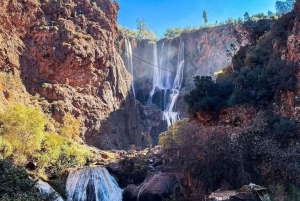 From Marrakech: Ouzoud Waterfalls Day Trip with Boat Tour