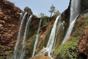 From Marrakech: Ouzoud Falls Trip with Guide & Boat Option