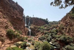 From Marrakech: Ouzoud Falls Trip with Guide & Boat Option