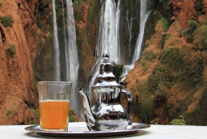 From Marrakech: Ouzoud Falls Trip with Guide & Boat Option