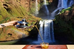 From Marrakech: Ouzoud Falls Trip with Guide & Boat Option