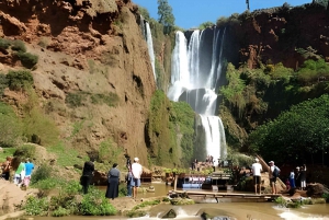 From Marrakech: Ouzoud Falls Trip with Guide & Boat Option